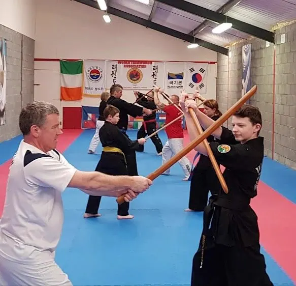 World Hapkido Ireland, photo 7