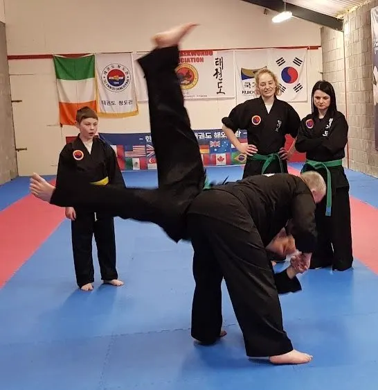 World Hapkido Ireland, photo 6