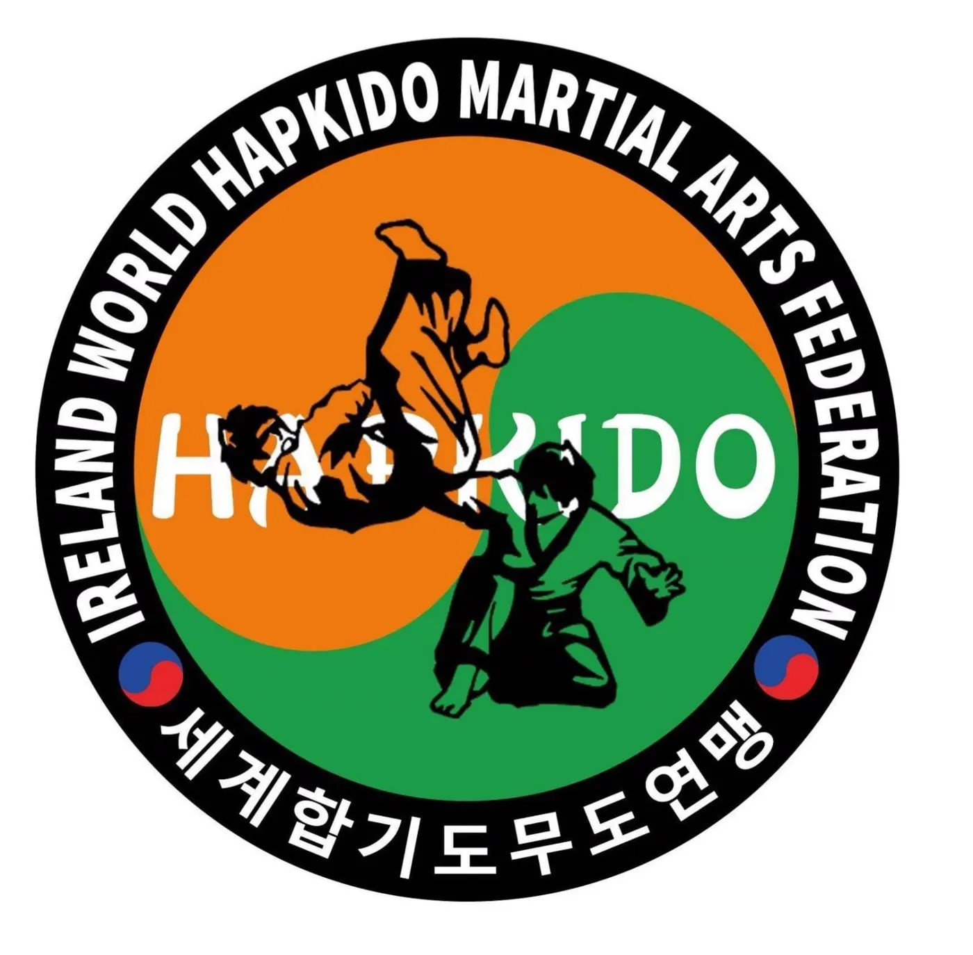 World Hapkido Ireland, photo 2