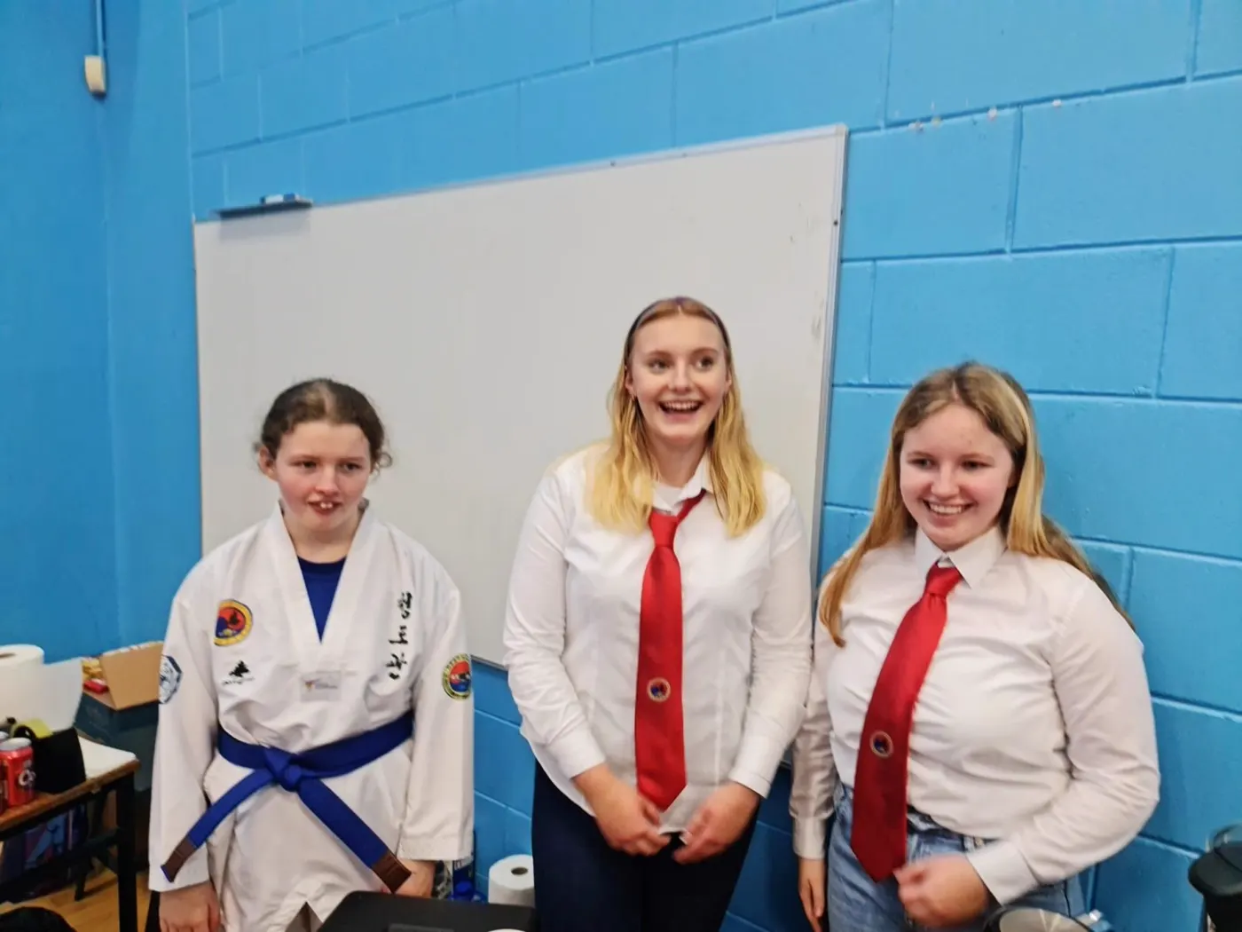 Ireland Taekwondo Open 2023, photo 15